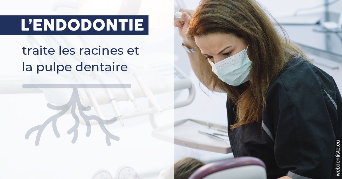 https://dr-ahr-catherine.chirurgiens-dentistes.fr/L'endodontie 1