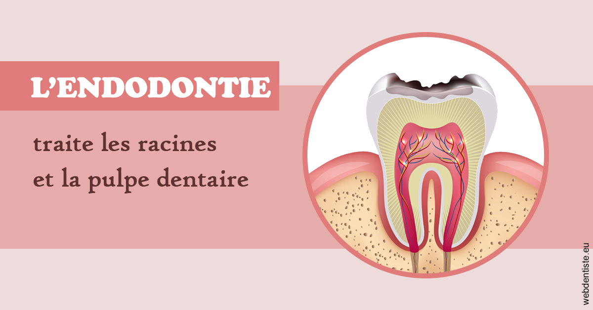 https://dr-ahr-catherine.chirurgiens-dentistes.fr/L'endodontie 2