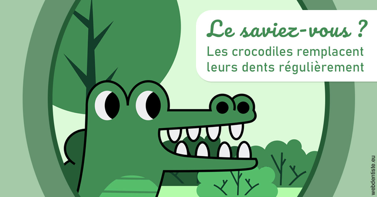 https://dr-ahr-catherine.chirurgiens-dentistes.fr/Crocodiles 2