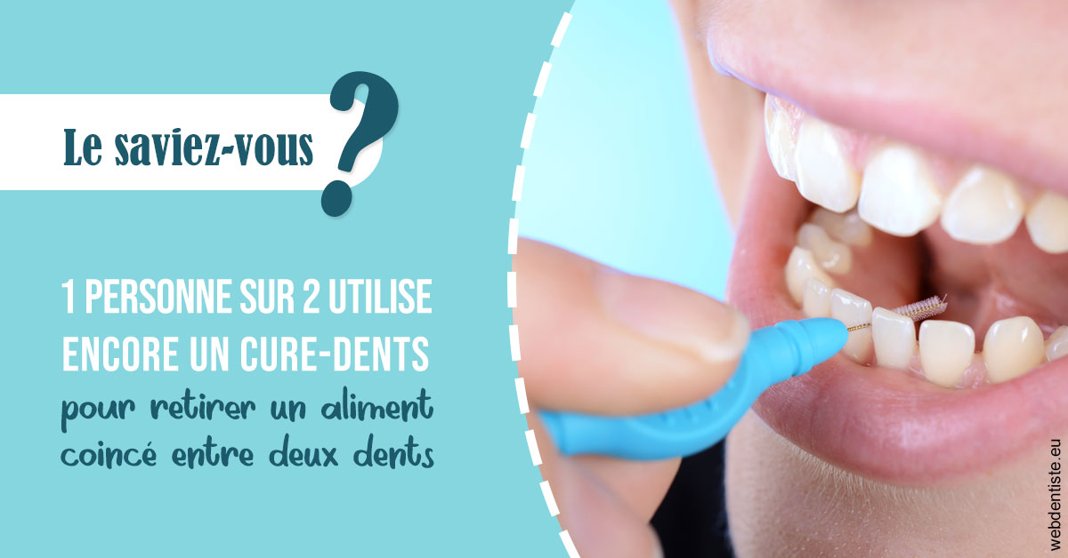 https://dr-ahr-catherine.chirurgiens-dentistes.fr/Cure-dents 1